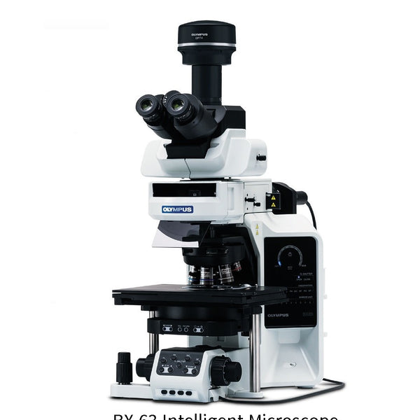 BX-63_600x600_crop_center.jpg?