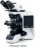 Olympus BX-53P Polarizing Microscope