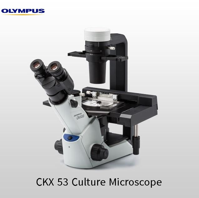 Olympus Culture Microscope ( CKX series)