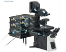 Confocal Laser Scanning Microscope (FLUVIEW)