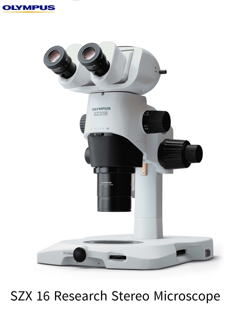 Zoom Stereo Microscope (SZX series)