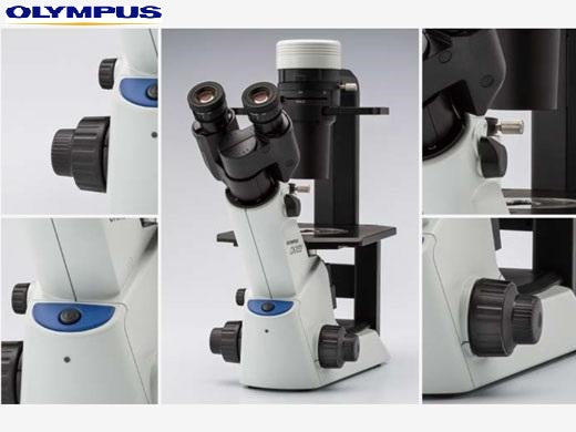 Olympus Culture Microscope ( CKX series)